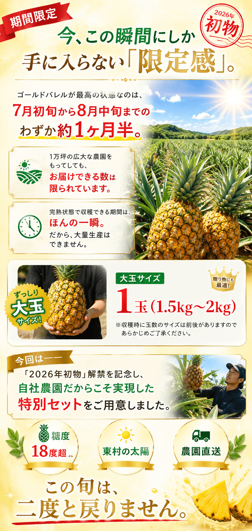 価格プラン