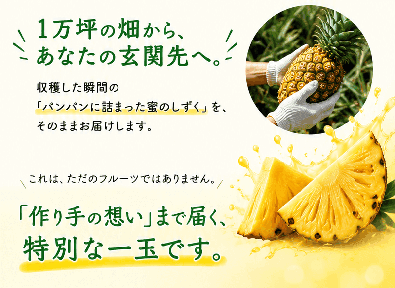 ゴールドバレル 栽培2