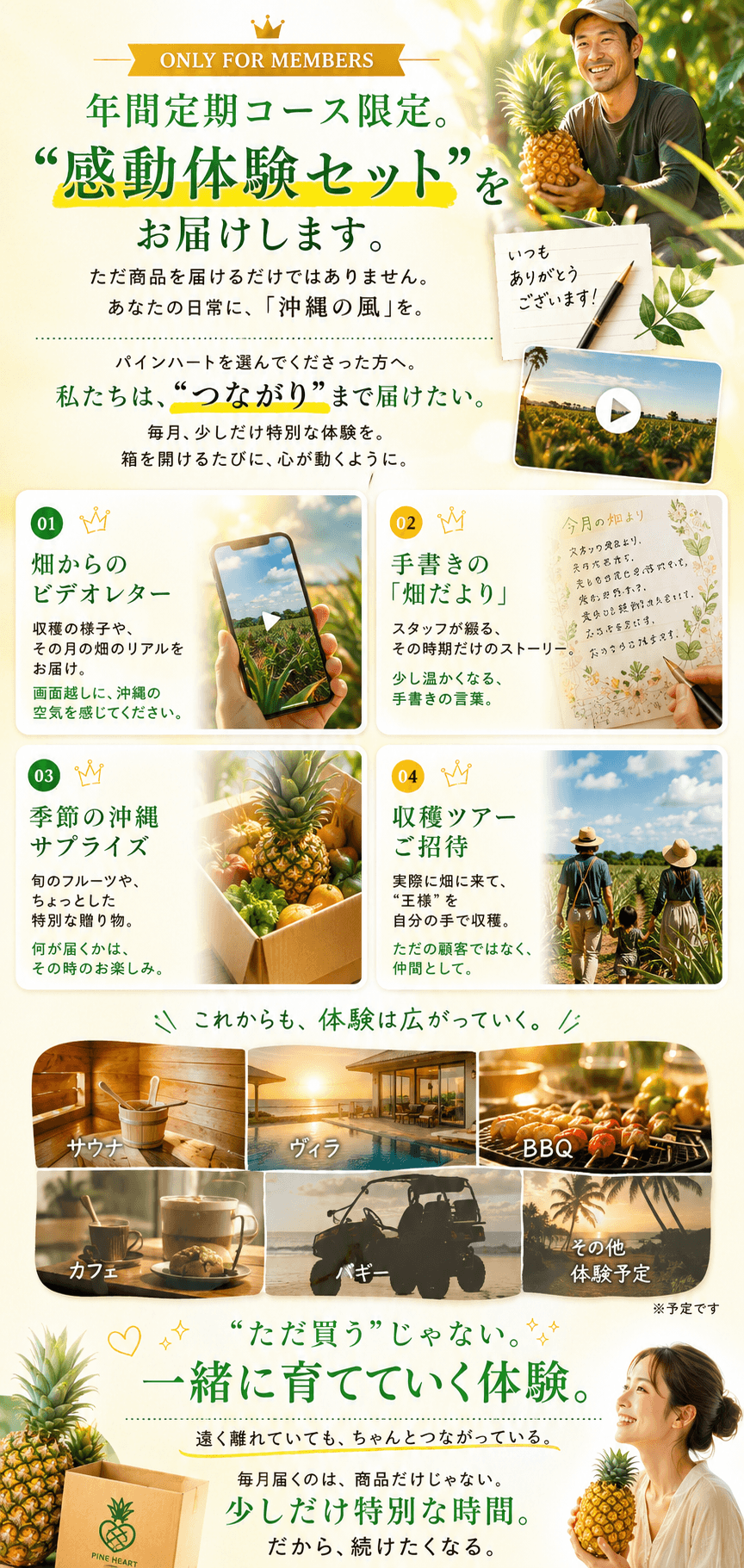 感動体験セット