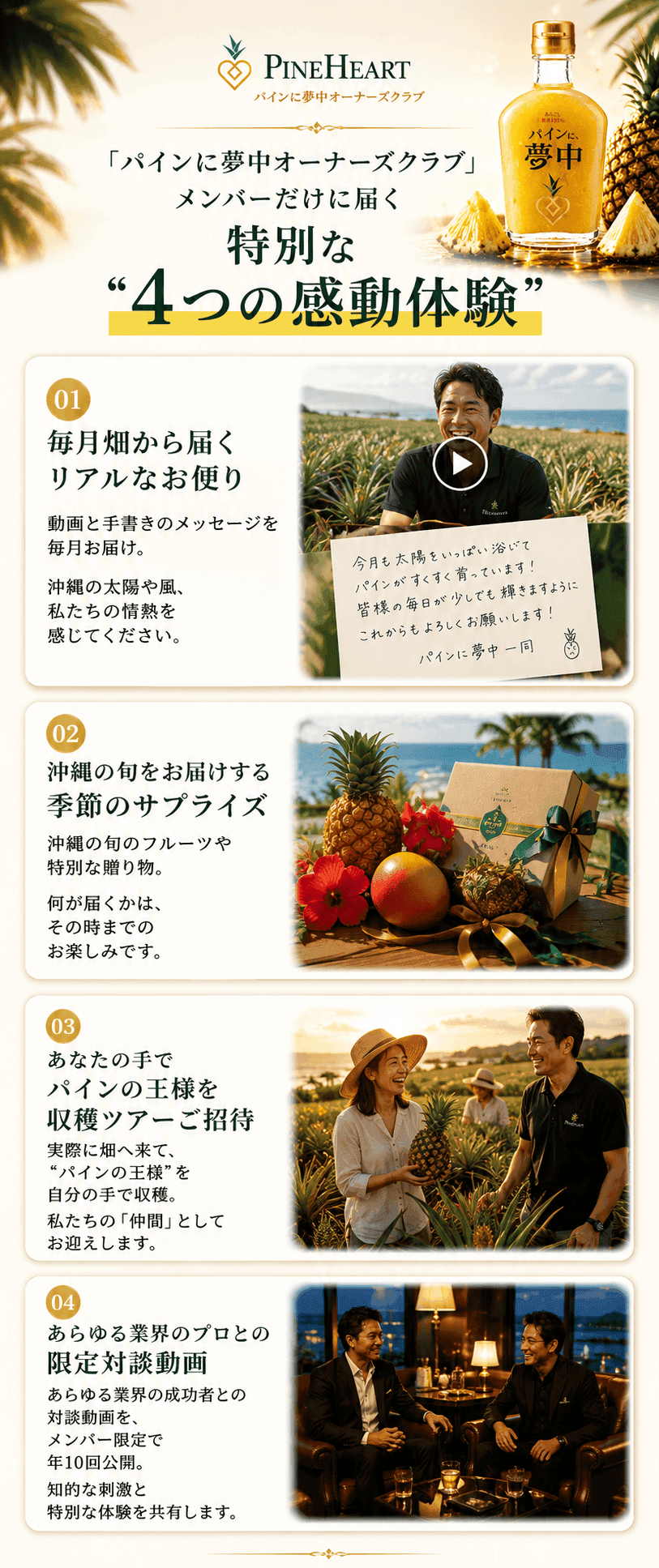 パインに夢中 価格