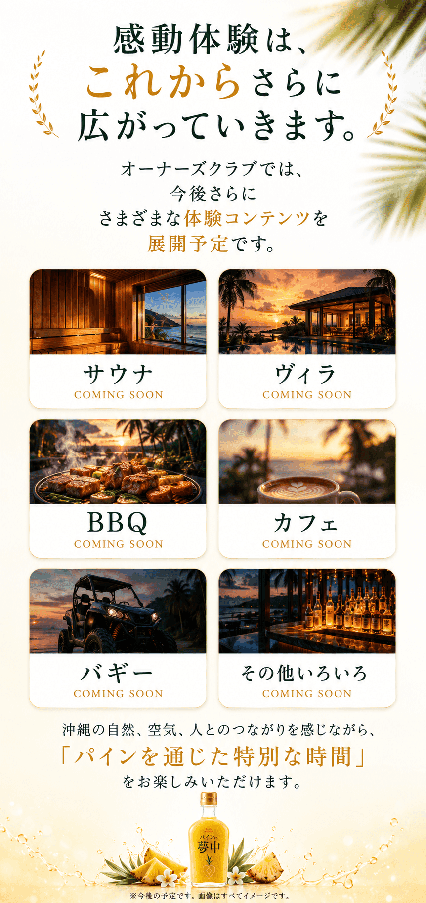 パインに夢中 価格詳細