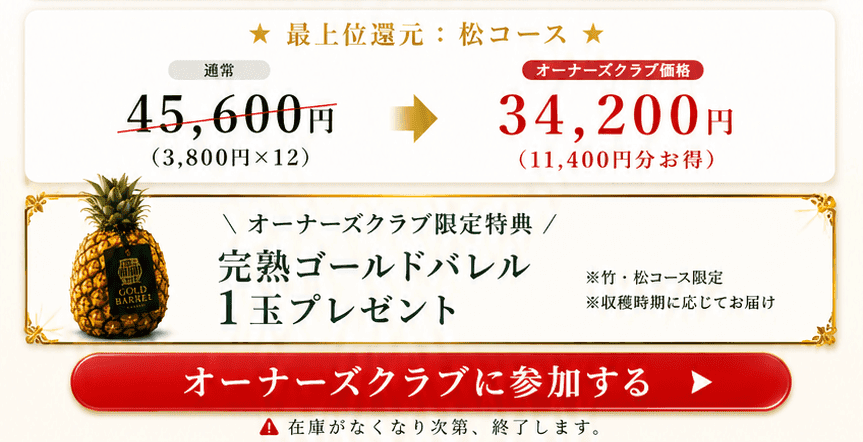 パインに夢中 定期便特典
