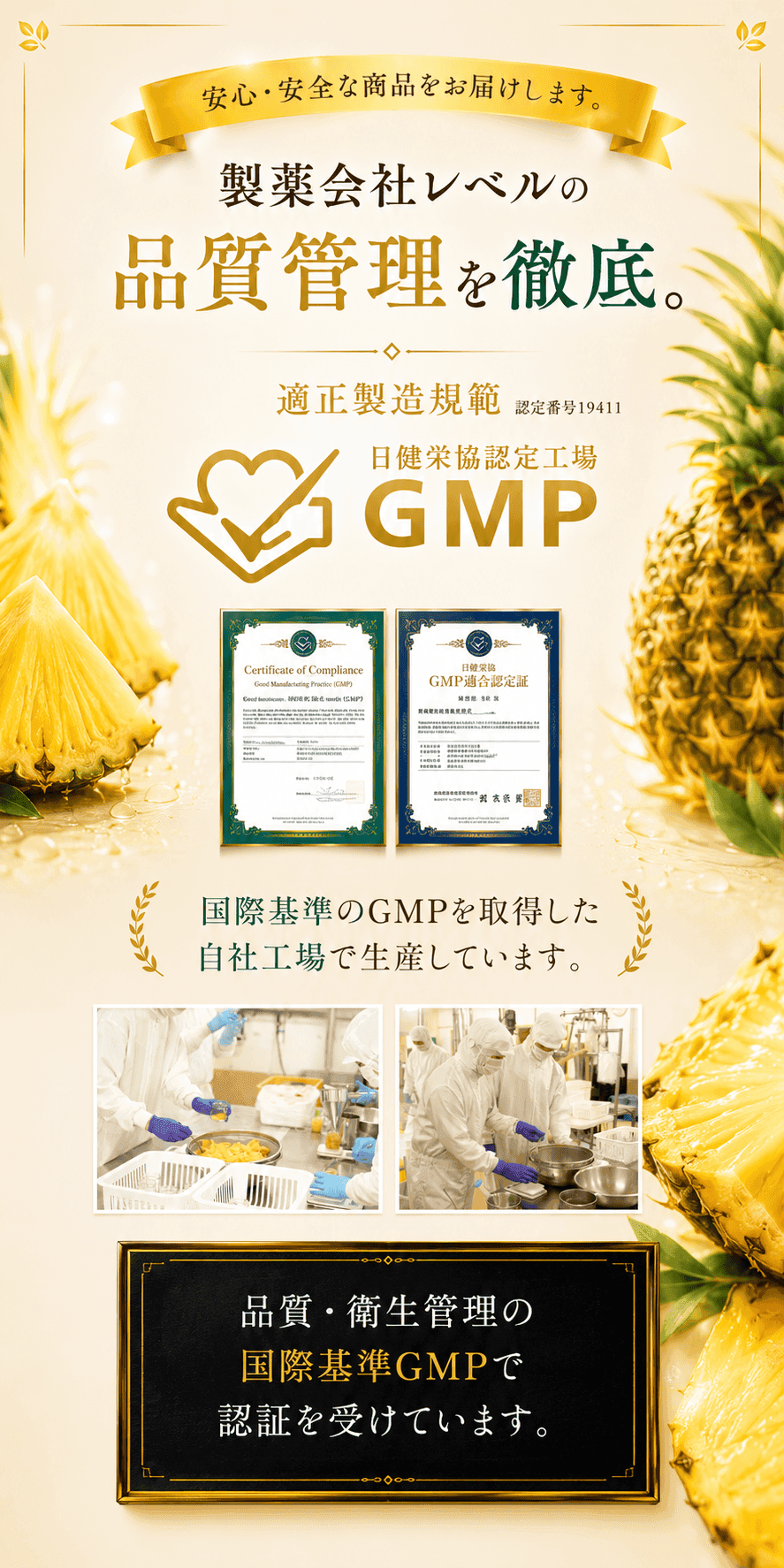 パインに夢中 追加情報